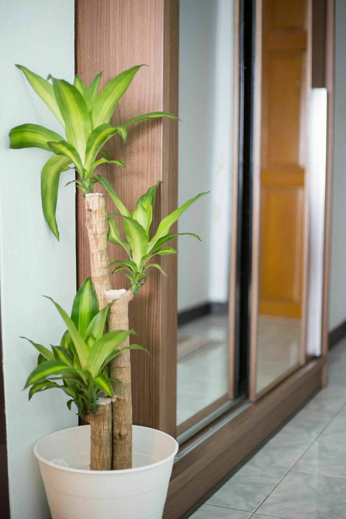 Ratchaprarop Apartment Bangkok Exterior photo